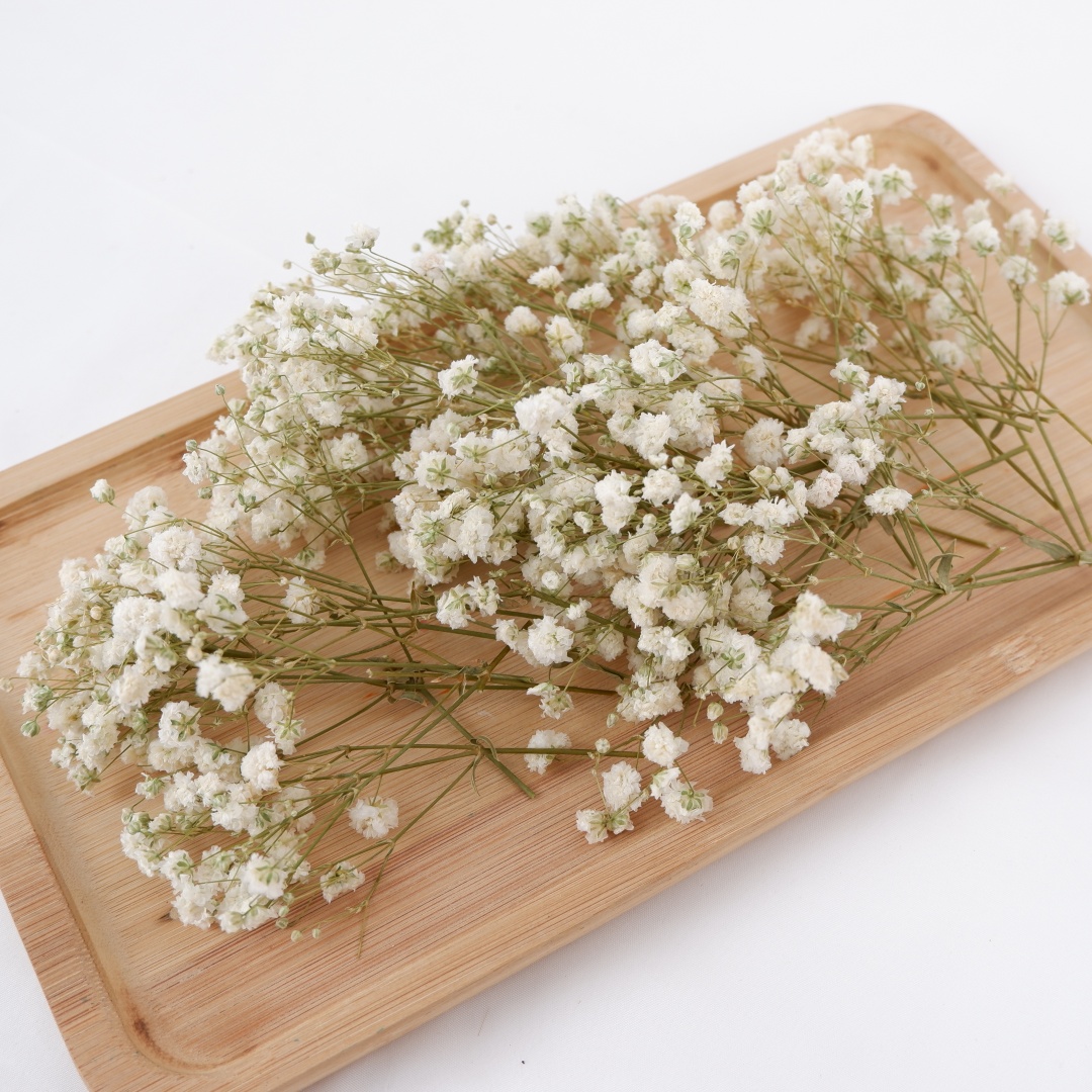 Dried Flowers White Mini Dried - Flower Girl Basket avis et prix