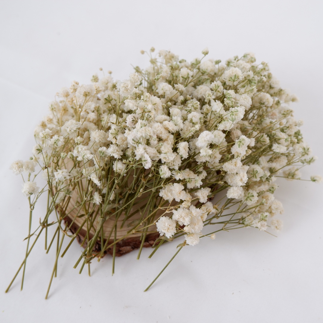 Dried Flowers White Mini Dried - Flower Girl Basket avis et prix
