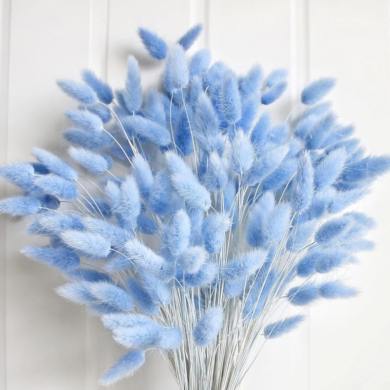 100PCS Blue Hare's-tail Grass  - Flower Girl Basket avis et prix
