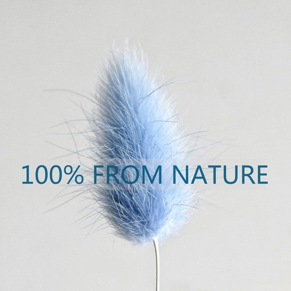 100PCS Blue Hare's-tail Grass  - Flower Girl Basket avis et prix
